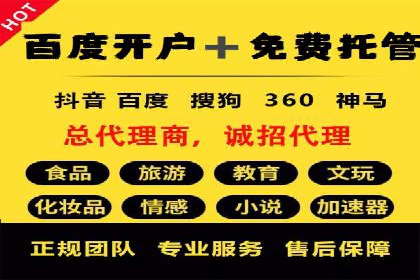 行业领先SEM服务公司案例研究